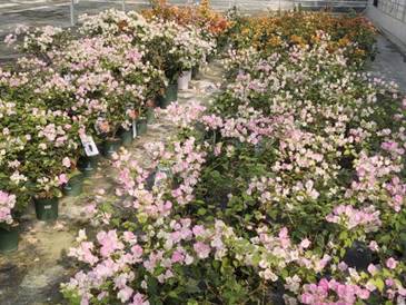 9fa0008db785b26b008a69c9ab19a5a0